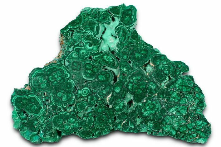 Flowery Polished Malachite Slab - DR Congo #360536